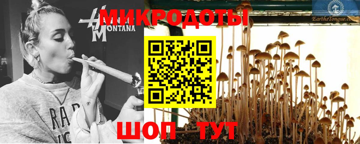 Галлюциногенные грибы Psilocybe  Галлюциногенные грибы GOLDEN TEACHER  Ликино-Дулёво  Вход с VPN 